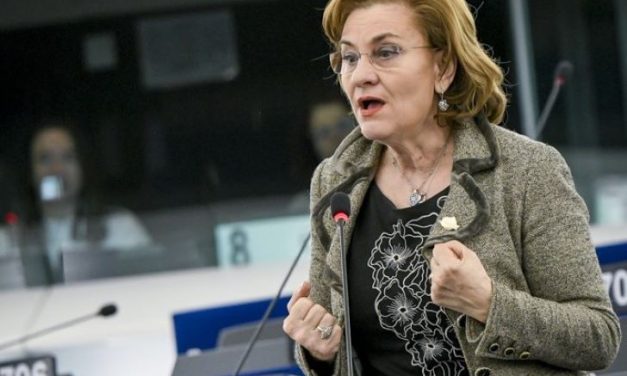 Grapini: România trebuie să fie alături de Republica Moldova