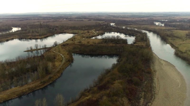 ABA Banat are soluții noi bazate pe natură pentru adaptarea la schimbările climatice în bazinul Timișului superior