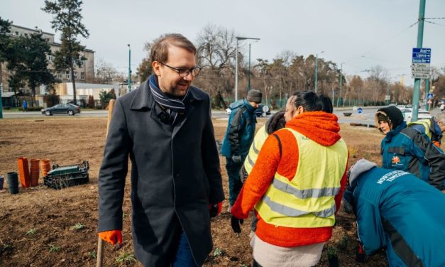 Primăria Timișoara continuă amenajarea sensurilor giratorii – Au fost plantate peste 1.000 de plante perene în Piața Mărăști