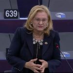 Partidul Mariei Grapini cere antreprenorilor să reclame anonim abuzurile statului