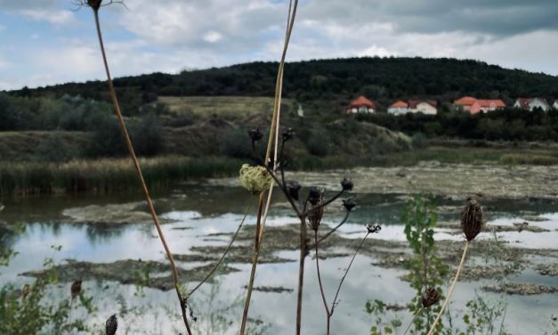 Soluții naturale pentru creșterea gradului de reziliență la schimbările climatice pe terenuri private – ABA Banat lansează un demers în premieră în zona râului Timiș