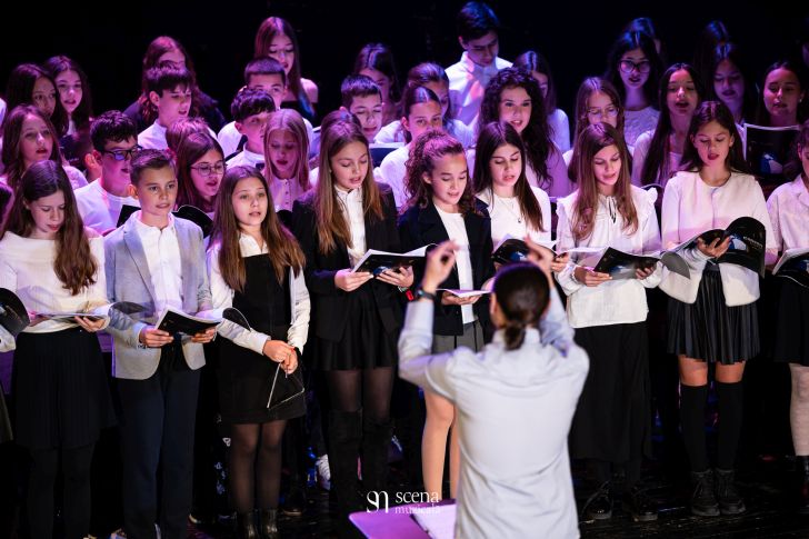 Proiectul Musical Crossroads 2025 începe cu un concert coral și instrumental susținut de elevii Liceului Teoretic “Nikolaus Lenau”
