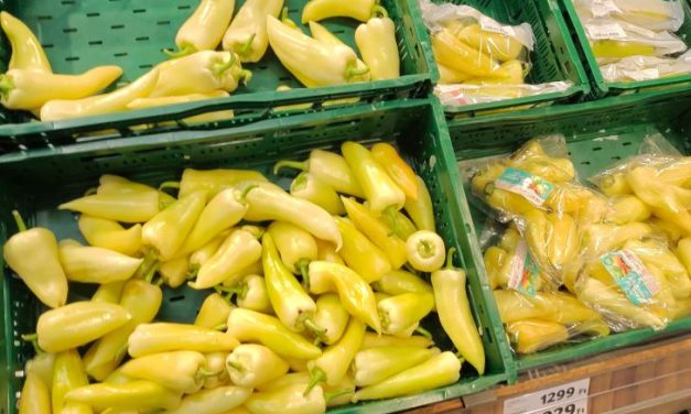 Ungaria continuă să refuze importul produselor agricole ucrainene