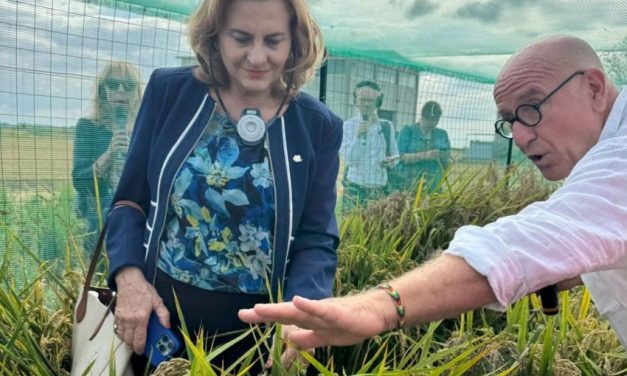 M. Grapini: “Am constatat că asocierea producătorilor în Italia este mult mai consistentă decât în România!”