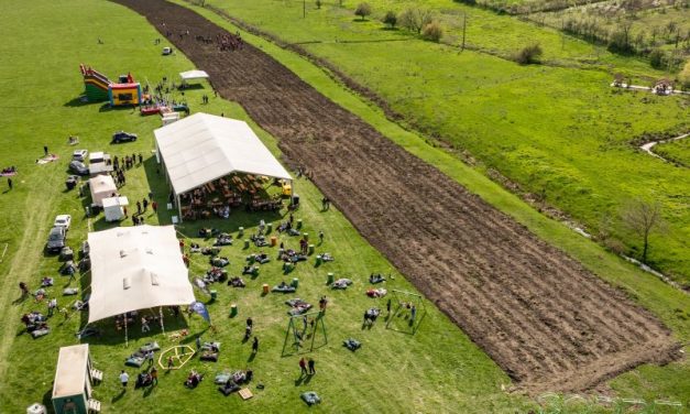 CODRU Festival aduce comunitatea la Ianova pentru două zile de muzică, natură și voluntariat