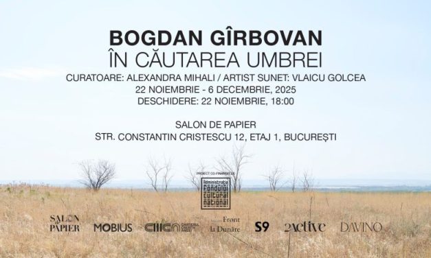 Bogdan Gîrbovan: Despre apă, memorie și transformarea satelor în expoziția „În căutarea umbrei” la Salon de Papier
