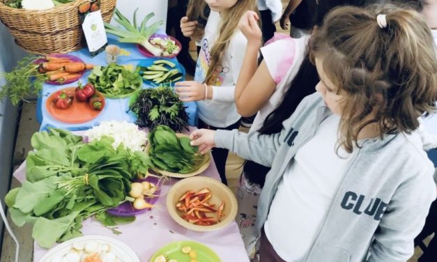 Legume în școli! Copiii din Timișoara sunt ajutați să descopere piețele, grădinile și bucătăria