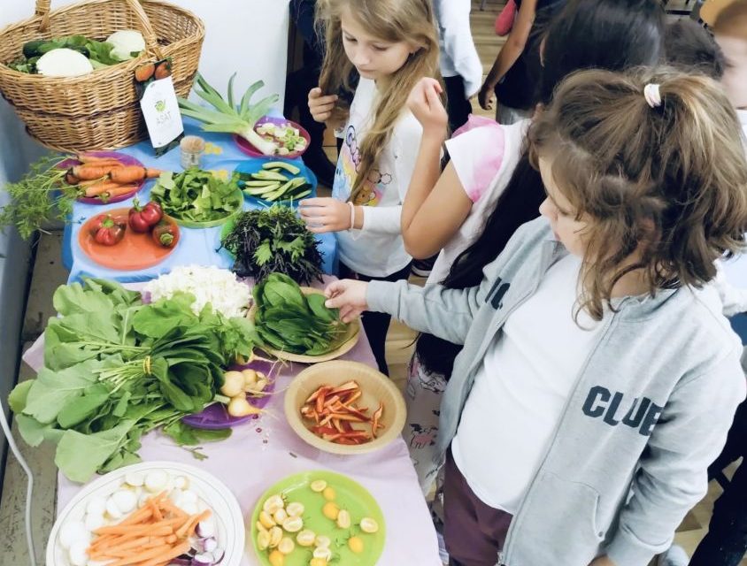 Legume în școli! Copiii din Timișoara sunt ajutați să descopere piețele, grădinile și bucătăria