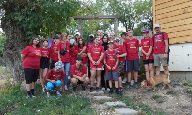 Peste 400 de tineri din Timișoara au învățat cum să aibă o minte mai sănătoasă prin artă, natură și voluntariat