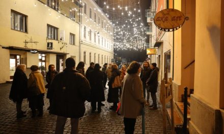 Galeria Brăteanu a găzduit vernisajul expoziției de pictură și desen ,,ultima grădină”  a reputatului artist vizual Liviu Pascu