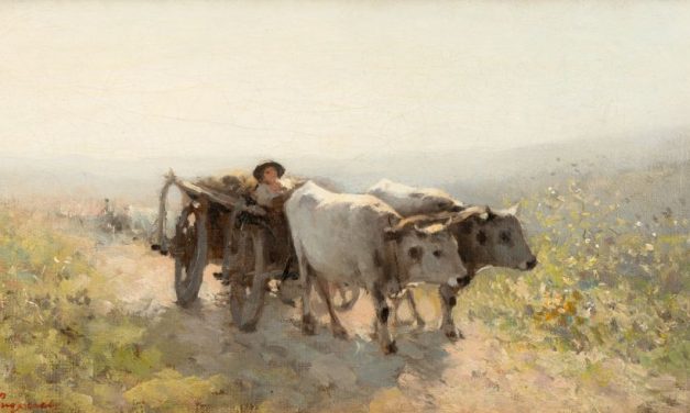 Opere din colecția Vâlcov ajung la Craiova!