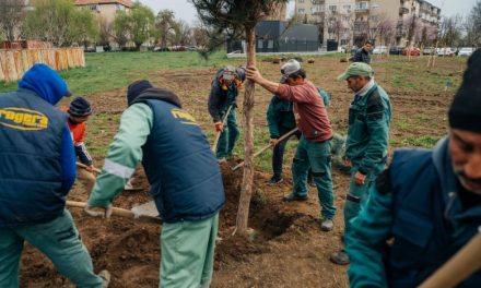 Timișorenii, invitați pe 4 aprilie, să planteze o nouă pădure urbană în zona Bucovina – declarații D. Fritz