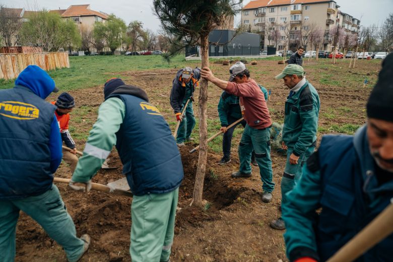 Timișorenii, invitați pe 4 aprilie, să planteze o nouă pădure urbană în zona Bucovina – declarații D. Fritz
