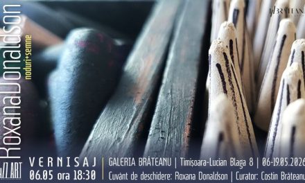 Artista vizuală Roxana Donaldson prezintă instalația evolutivă „noduri + semne ” la Galeria Brăteanu