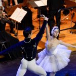 Eveniment de top în Timișoara: Spectacolul „Lacul Lebedelor” vine în Parcul Rozelor