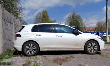 Bilanțul Poliției de Frontieră Timișoara: Zeci de mii de persoane verificate și un autoturism furat, recuperat în trafic