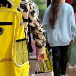 Dințișorii Veseli: un nou format interactiv în 8 orașe ale țării