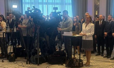 Maria Grapini la Conferința NATO Day 2026: “Industria de apărare a României a devenit nesemnificativă”