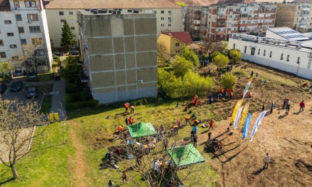 Noi intervenții pentru biodiversitate în Timișoara: 2 mini-păduri urbane și 450 mp de pajiște pe malurile Begăi