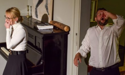 Când arta întâlnește comedia acidă: Asociația Punct și Virgulă te invită la teatru într-un spațiu de poveste