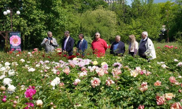 Cum se va numi primul soi de bujor produs în România