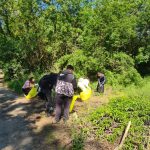 Studenții din Timișoara au strâns 15 saci cu deșeuri abandonate în Parcul Natural Lunca Mureșului
