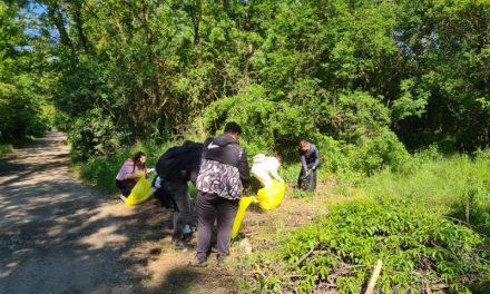 Studenții din Timișoara au strâns 15 saci cu deșeuri abandonate în Parcul Natural Lunca Mureșului