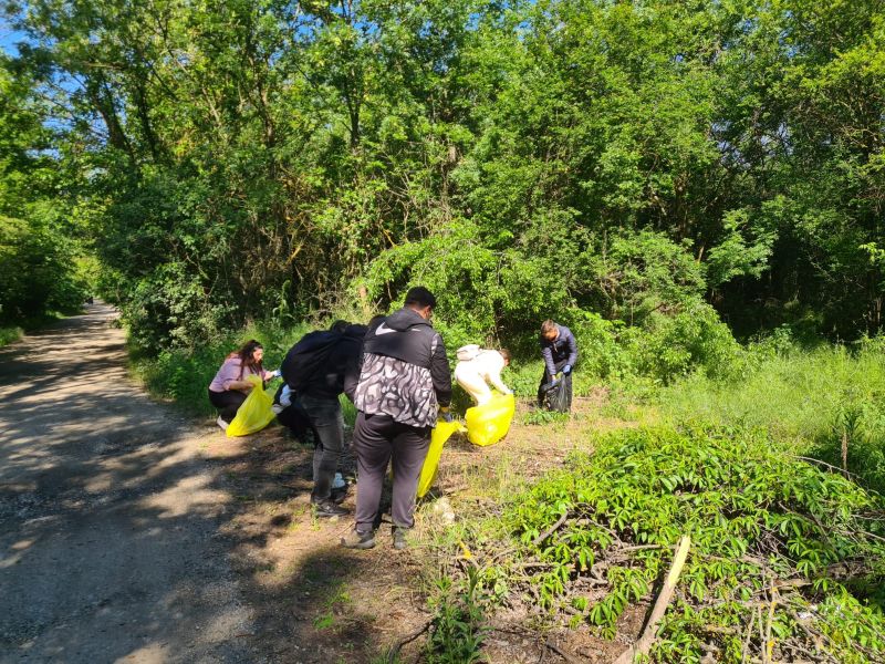 Studenții din Timișoara au strâns 15 saci cu deșeuri abandonate în Parcul Natural Lunca Mureșului