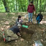 Ce artefacte metalice au găsit specialiștii Muzeului Național al Banatului în situl arheologic Crivina–Leopoldsberg