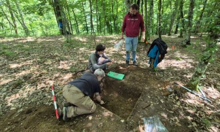 Ce artefacte metalice au găsit specialiștii Muzeului Național al Banatului în situl arheologic Crivina–Leopoldsberg
