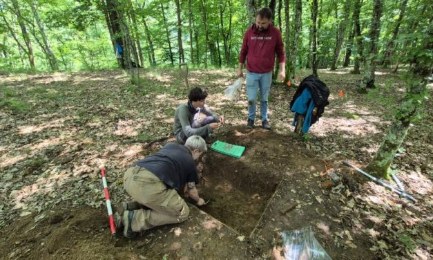 Ce artefacte metalice au găsit specialiștii Muzeului Național al Banatului în situl arheologic Crivina–Leopoldsberg