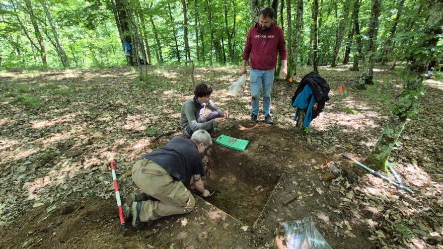 Ce artefacte metalice au găsit specialiștii Muzeului Național al Banatului în situl arheologic Crivina–Leopoldsberg
